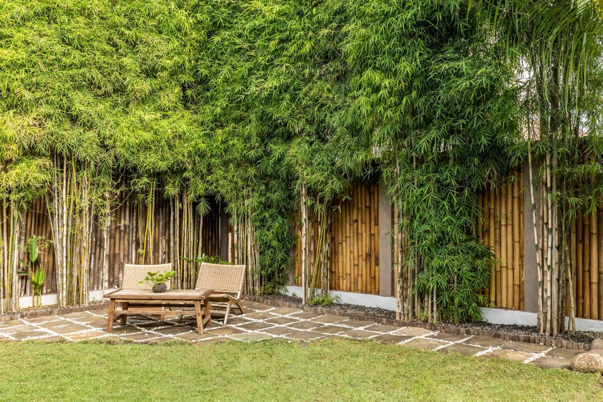 Rimba Villas Gili Air Værelse billede